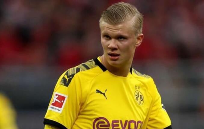 风险承受度 风险承受度